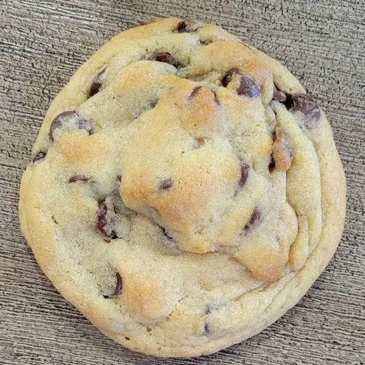 Larger Than Life Gourmet Chocolate Chip Cookie